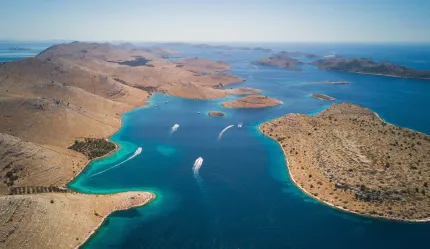 Marine Science & Sustainability Consultancy