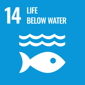 Goal 14: Life Below Water – Conserve and sustainably use the oceans, seas, and marine resources for sustainable business practices.