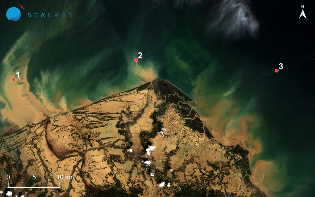 Satellite image showing the extent of Sumatra floods and its effect on the ecosystem.