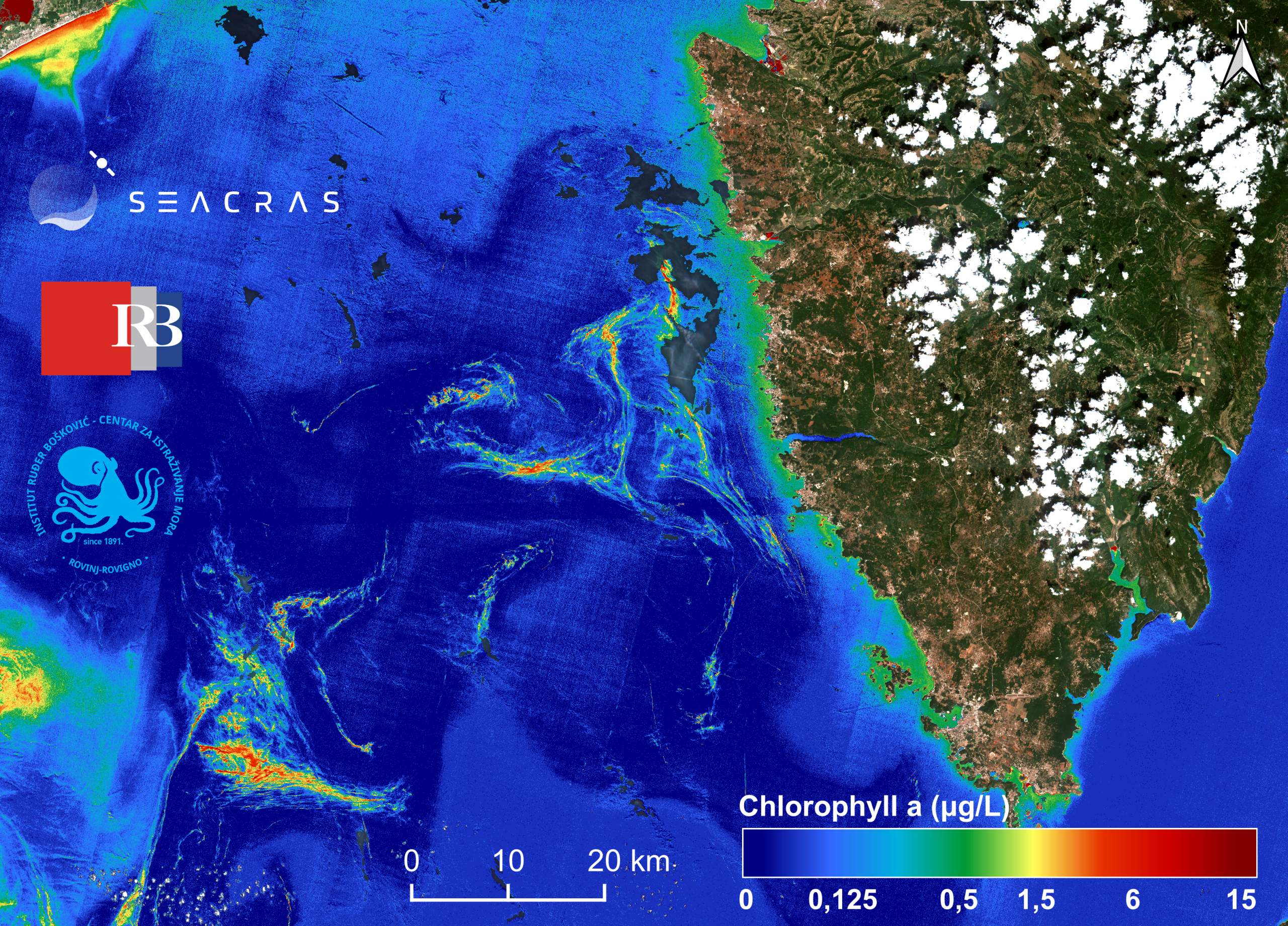 Satellite image of the Northern Adriatic showing mucilage aggregates in September 2024.