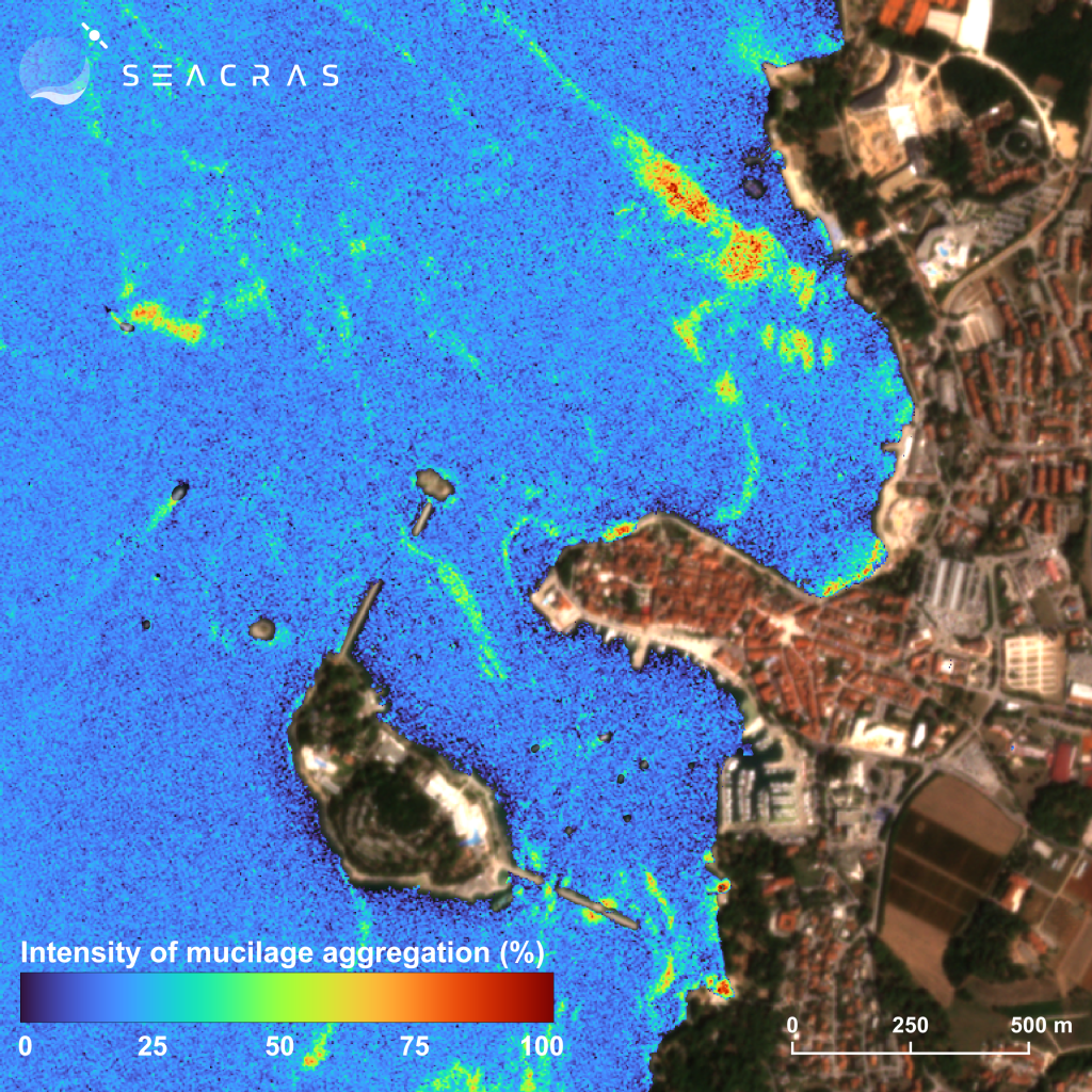 Detected mucilage aggregates of (algal bloom) in Poreč archipelago in 2024.
