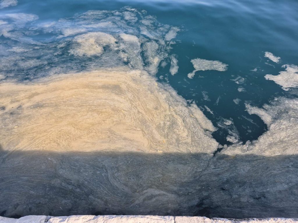 Large area of sea surface covered with algal bloom (mucilage aggregates) in the Adriatic.
