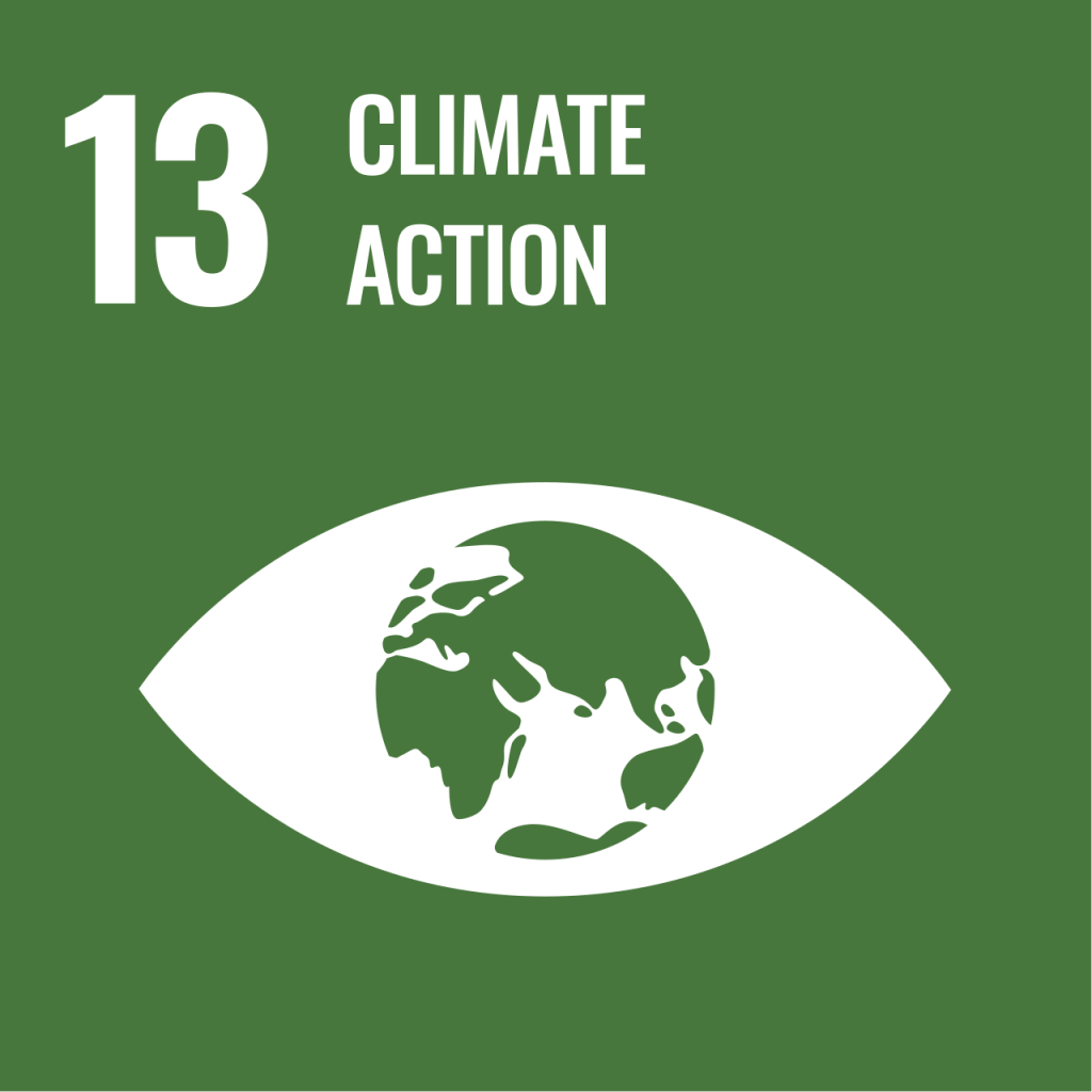 sustainable development goals - image showing goal 13 (climate action)