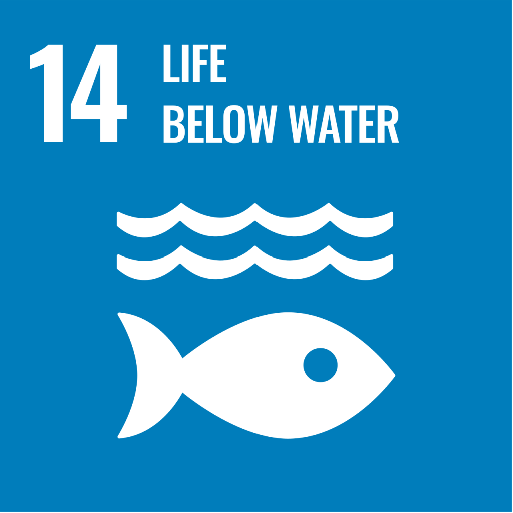 sustainable development goals - image showing goal 14 (life below water)