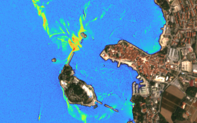 High-Resolution Images of the Extreme Algal Bloom on the Western Coast of Istria
