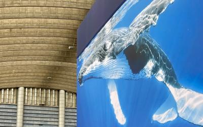 SeaCras at the United Nations Ocean Conference – Driving Action for Ocean Health