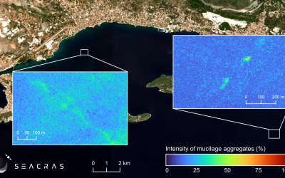 2025 Summer Season Begins with Abnormal Algal Bloom in the Adriatic