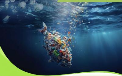 Plastic Pollution in the Adriatic-Ionian Region: PREVENT's First-Year Results Reveal Alarming Levels
