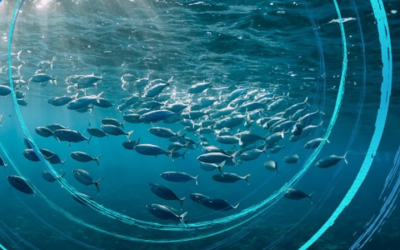 EIT Water and the New Adriatic-Ionian Co-Location Centre Kick-off in 2026